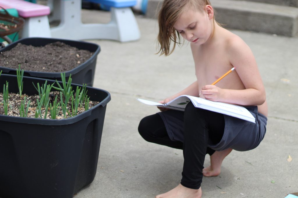 boy doing school work near plants