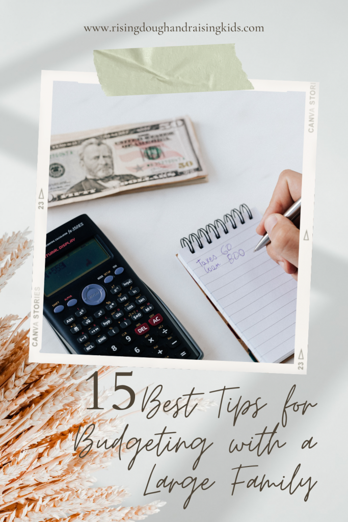 Best Tips for Budgeting with a Large Family